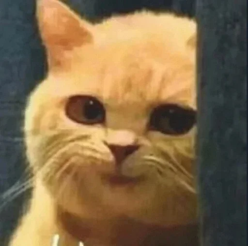 Sticker владельцы:@rk_800 @rk800_ax400 by @fStikBot - 9