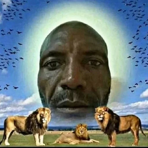 Стикер сашка в попе какашка :: @fStikBot - 2