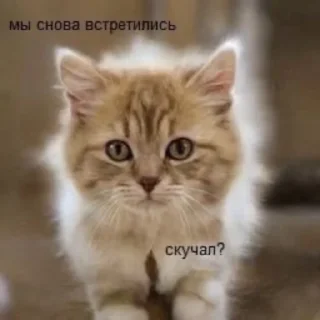 Стикер @bibibabubebe - 3