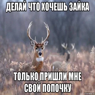 Стикер @bibibabubebe - 11