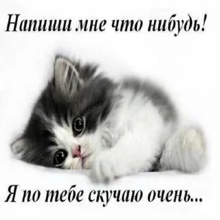 Стикер @bibibabubebe - 10