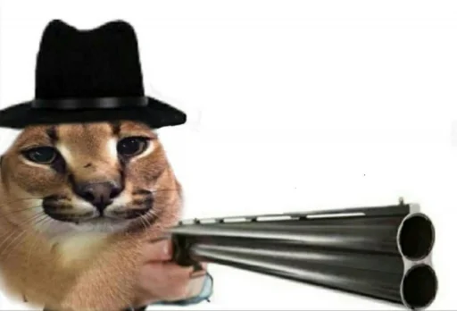 животное кошка кошачьи