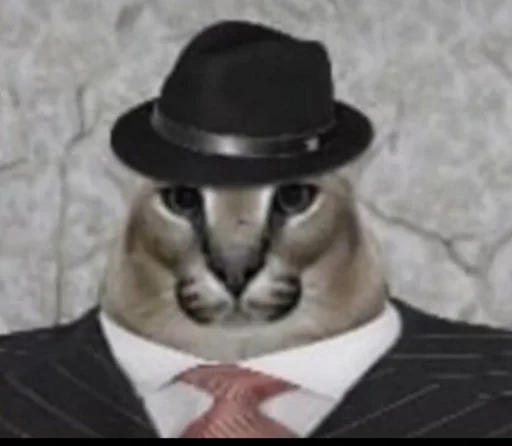 кошка млекопитающее животное