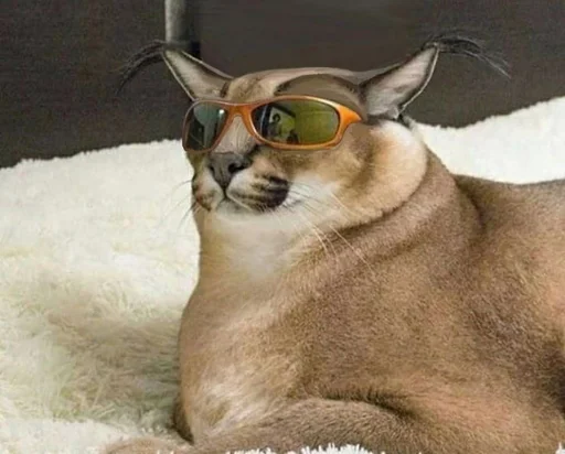 кошка животное млекопитающее