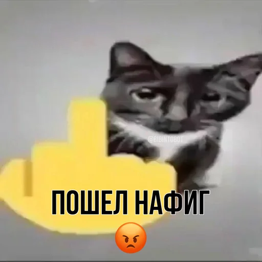 Стикер bibinto - 7