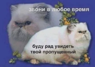 Sticker Быдлочат 5 - 4