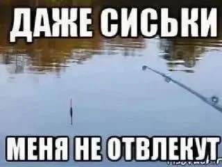 Стикер @bigbodybenzz 👄 - 1