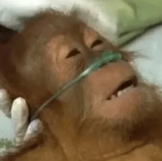 Sticker By @spotify_metal - 10