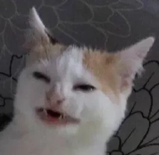 Sticker By @spotify_metal - 0