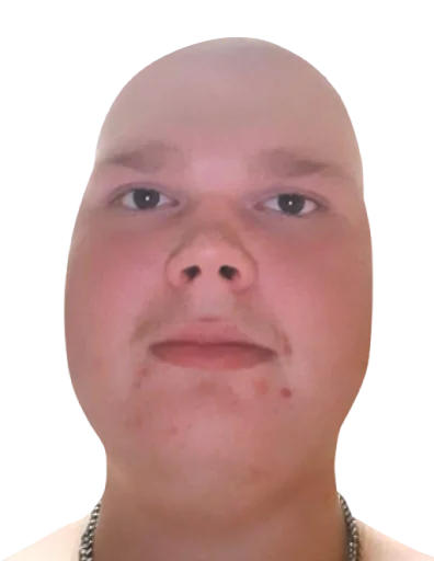 Sticker Большой бык - 7