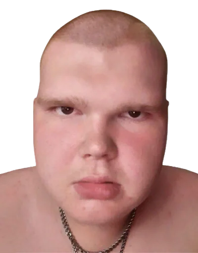 Sticker Большой бык - 3