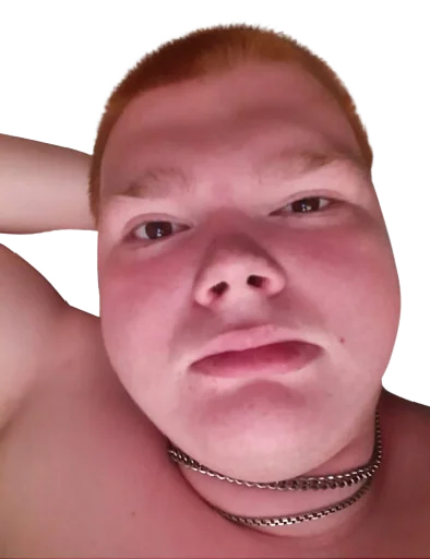 Большой бык - 