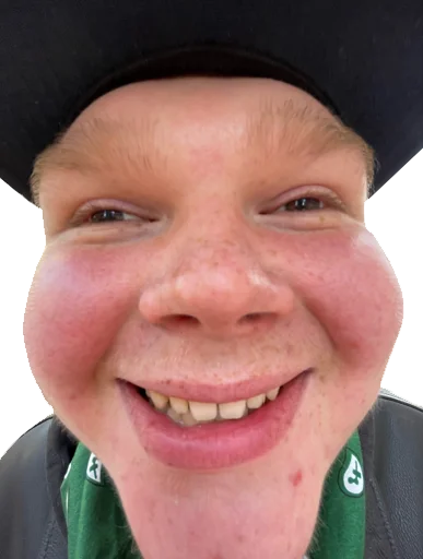 Sticker Большой бык - 0