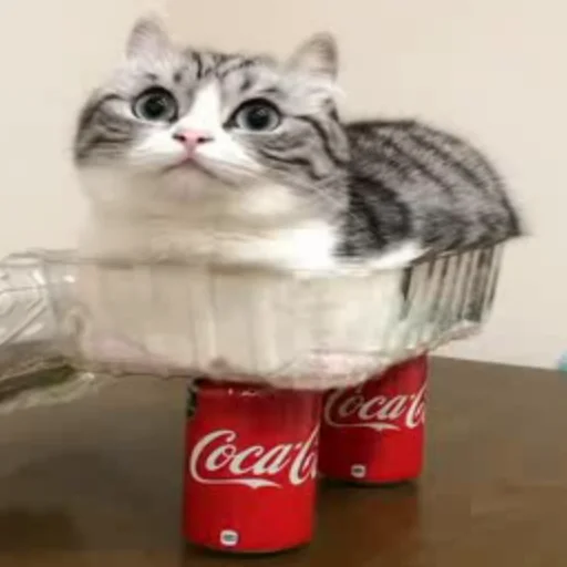 Sticker bigcringepack - 1