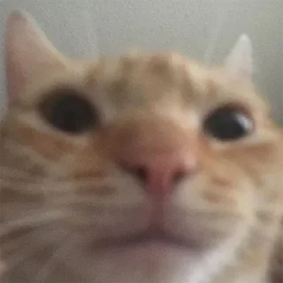 Sticker Cringe-pack by @Mifuru - 10