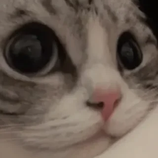 Sticker Cringe-pack by @Mifuru - 7