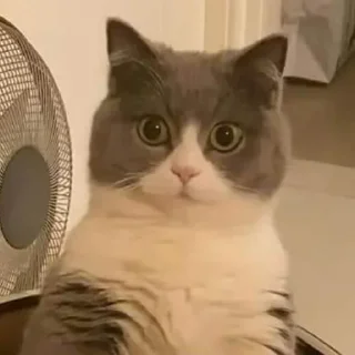 Sticker Cringe-pack by @Mifuru - 0