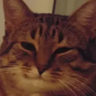 Sticker Cringe-pack by @Mifuru - 2