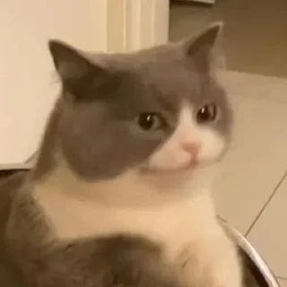 Sticker Cringe-pack by @Mifuru - 6