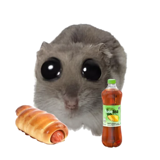 hamsters by Luvzhons - 