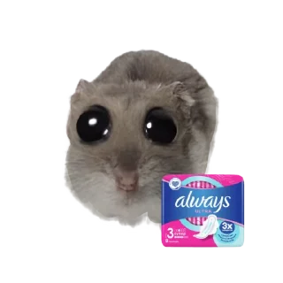 Sticker hamsters by Luvzhons - 10