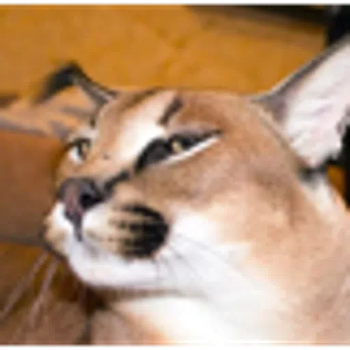 Sticker bigloppa1 - 11