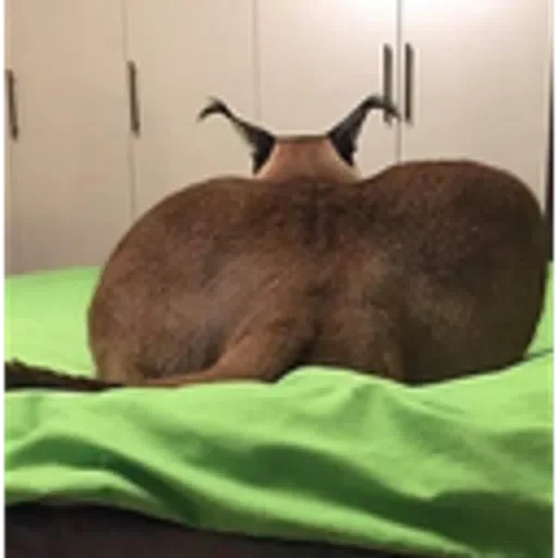 Sticker bigloppa1 - 9