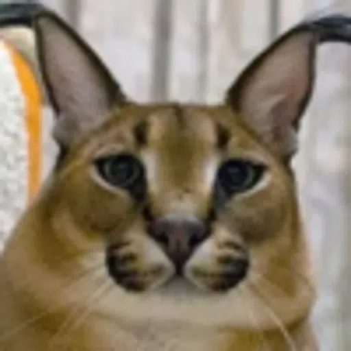 Sticker bigloppa1 - 6