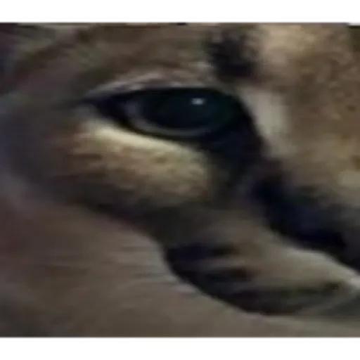 Sticker bigloppa1 - 3