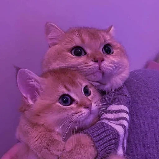 Sticker bilyat999 - 1