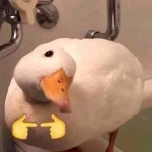 Sticker bilyat999 - 1