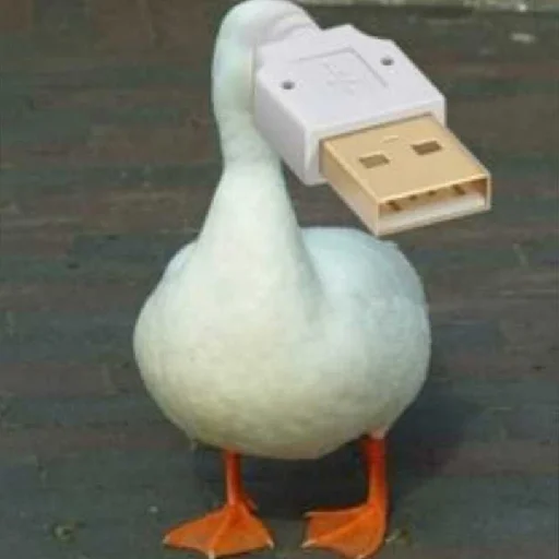 Sticker bilyat999 - 1