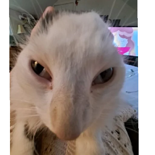 Sticker bilyat999 - 1