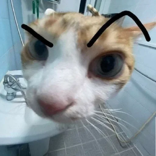 Sticker bilyat999 - 1