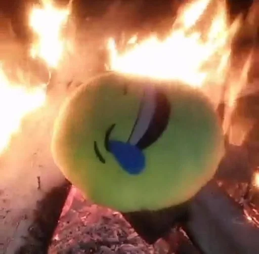 Стикер мемосные мордочки 2😭 :: @fStikBot - 0