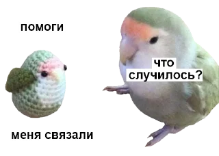 Sticker bird it - 11