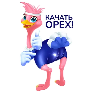 Стикер Птичий базар - 0