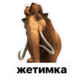 Sticker 🌺на каждый день - 9