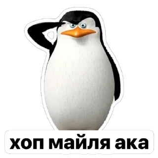 Sticker 🌺на каждый день - 7