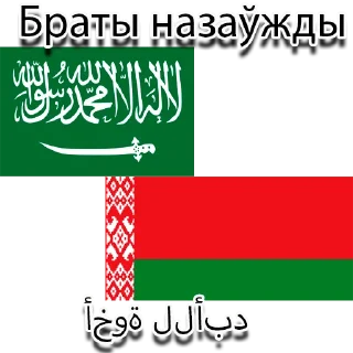 Sticker Belarusian Islam الإسلام البيلاروسي - 2
