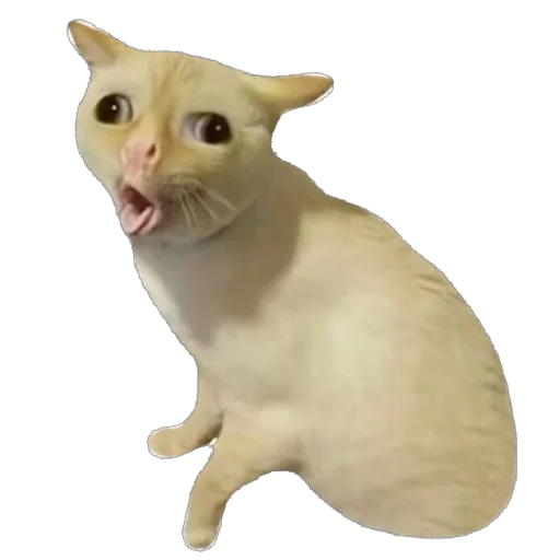 Sticker bitchmooooood - 1