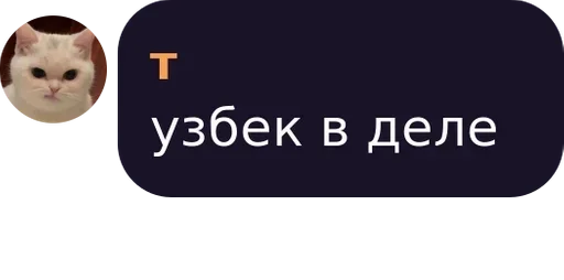 кошка СМС скриншот