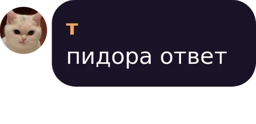 кошка СМС мультфильм