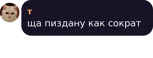 скриншот СМС