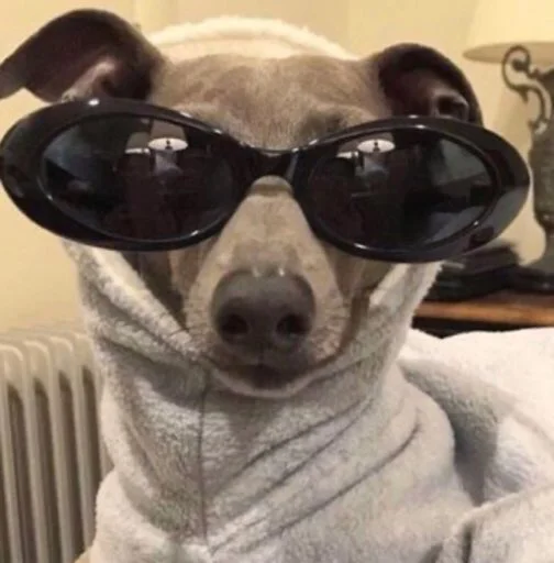 очки защитные очки аксессуар