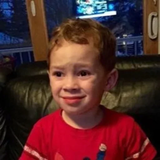 человеческое лицо Человек комнатный