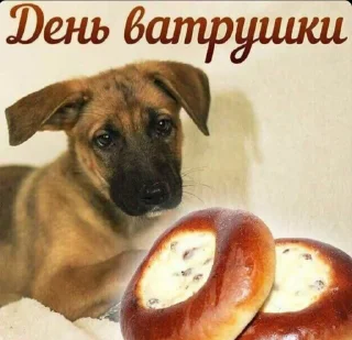 Sticker бизаррные приключения чизуса - 9