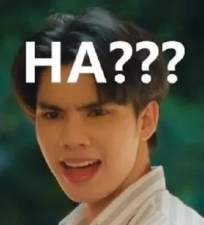 Sticker Тайцы моя жизнь - 10