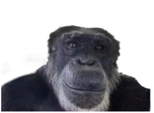 Sticker @BosyakTemaCult :: @fStikBot - 11