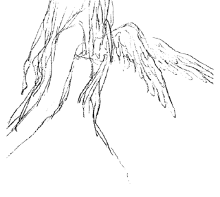 Стикер -  ࣪ ˖ black / @wexsavi 🖤 / - 7